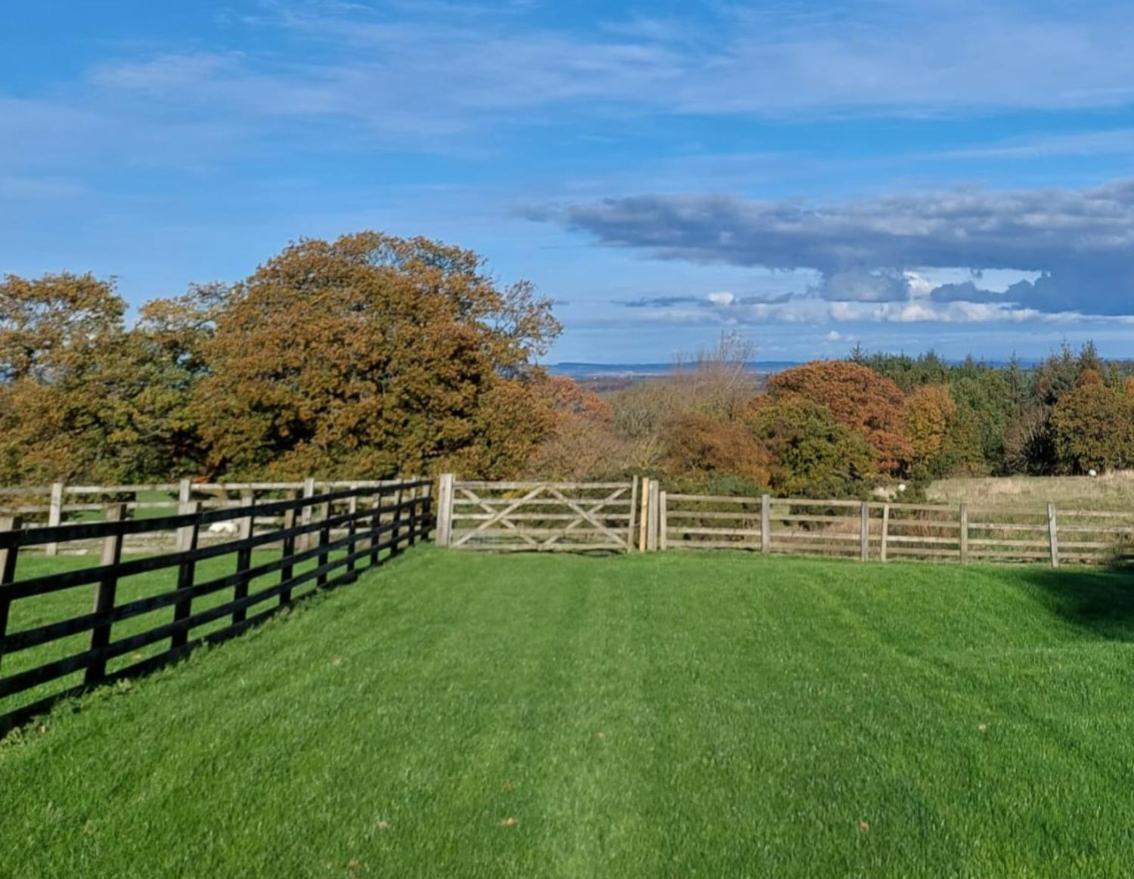 High Whashton Springs Glamping Pod, Richmond Yorksアパートメント エクステリア 写真