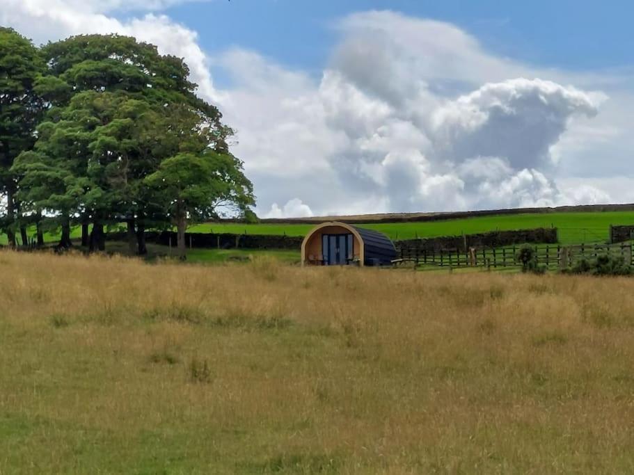 High Whashton Springs Glamping Pod, Richmond Yorksアパートメント エクステリア 写真